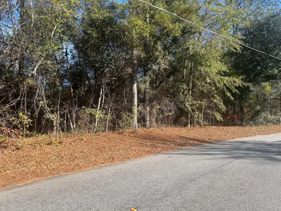 0 Fairway Drive, New Ellenton, SC 29809 - Image #2