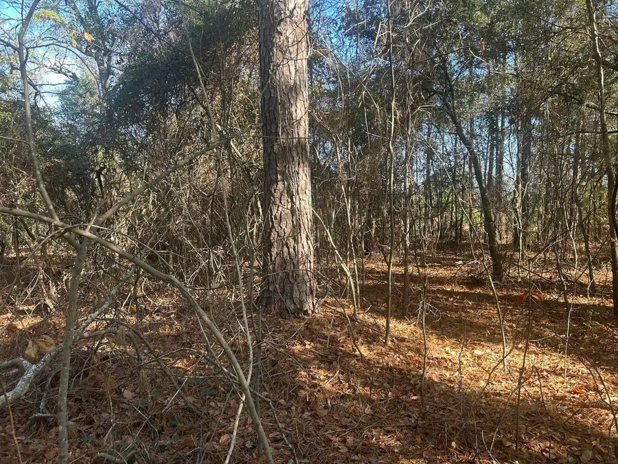 0 Fairway Drive, New Ellenton, SC 29809 - Image #3