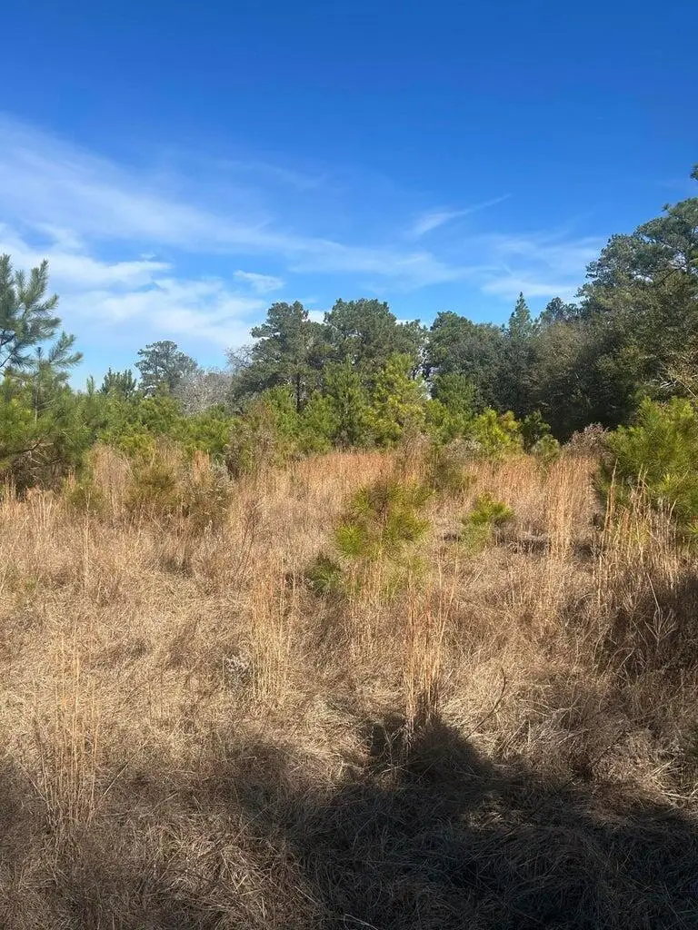 00 Fairway Drive, New Ellenton, SC 29809 - Image #3