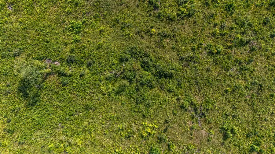 20ac Ouzts Road, Edgefield, SC 29824 - Image #3