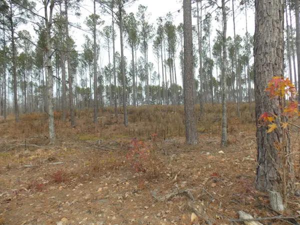 4 E Mosley Rd, Lincolnton, GA 30817