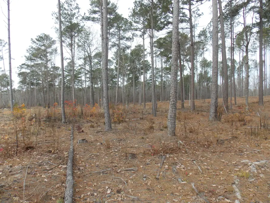 4 E Mosley Rd, Lincolnton, GA 30817 - Image #2