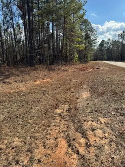 101 Antlers Trail, Hephzibah, GA 30815 - Image #2