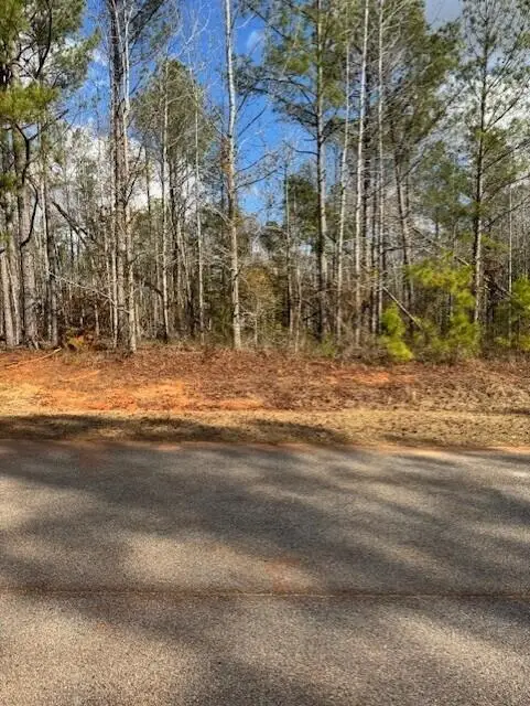 103 Antlers Trail, Hephzibah, GA 30815 - Image #2