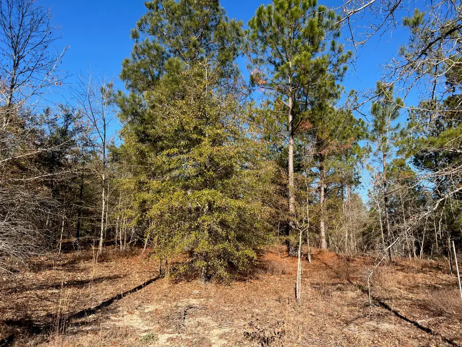 0 Golden Eagle Lane, Hephzibah, GA 30815 - Image #2