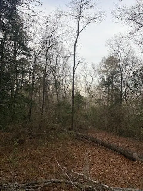 2005 Mcdade Farm Road, Hephzibah, GA 30815 - Image #3