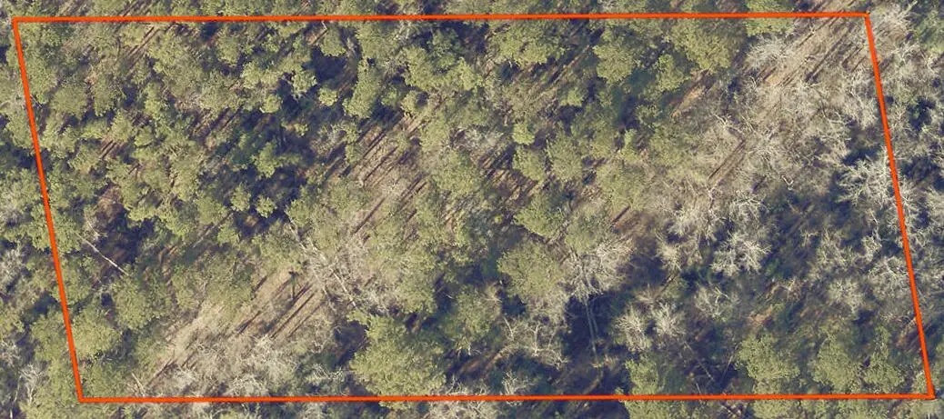 0 Dent Road, Appling, GA 30802 - Image #1