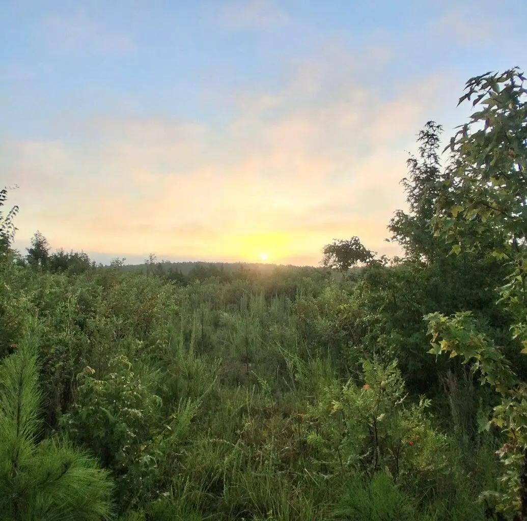 3a Bowie Road, Troy, SC 29848 - Image #1