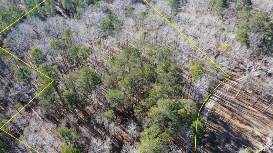 0 Forest Lake Drive, Lincolnton, GA 30817 - Image #3