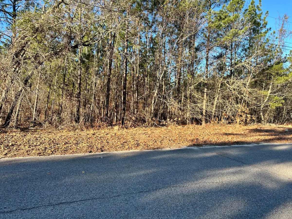 3934 Grape Avenue, Augusta, GA 30909 - Image #1