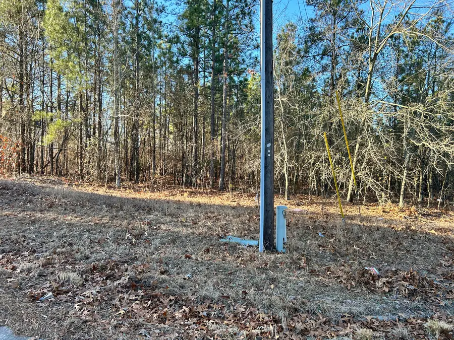 3934 Grape Avenue, Augusta, GA 30909 - Image #3