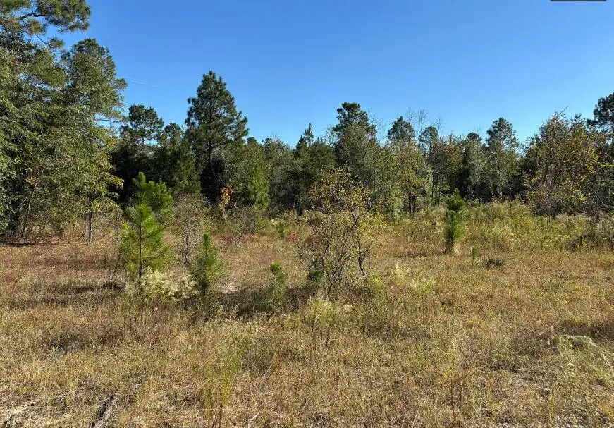 7b Pearl Bonnett, Windsor, SC 29856 - Image #1