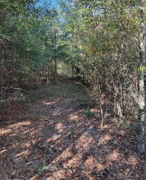 7b Pearl Bonnett, Windsor, SC 29856 - Image #3