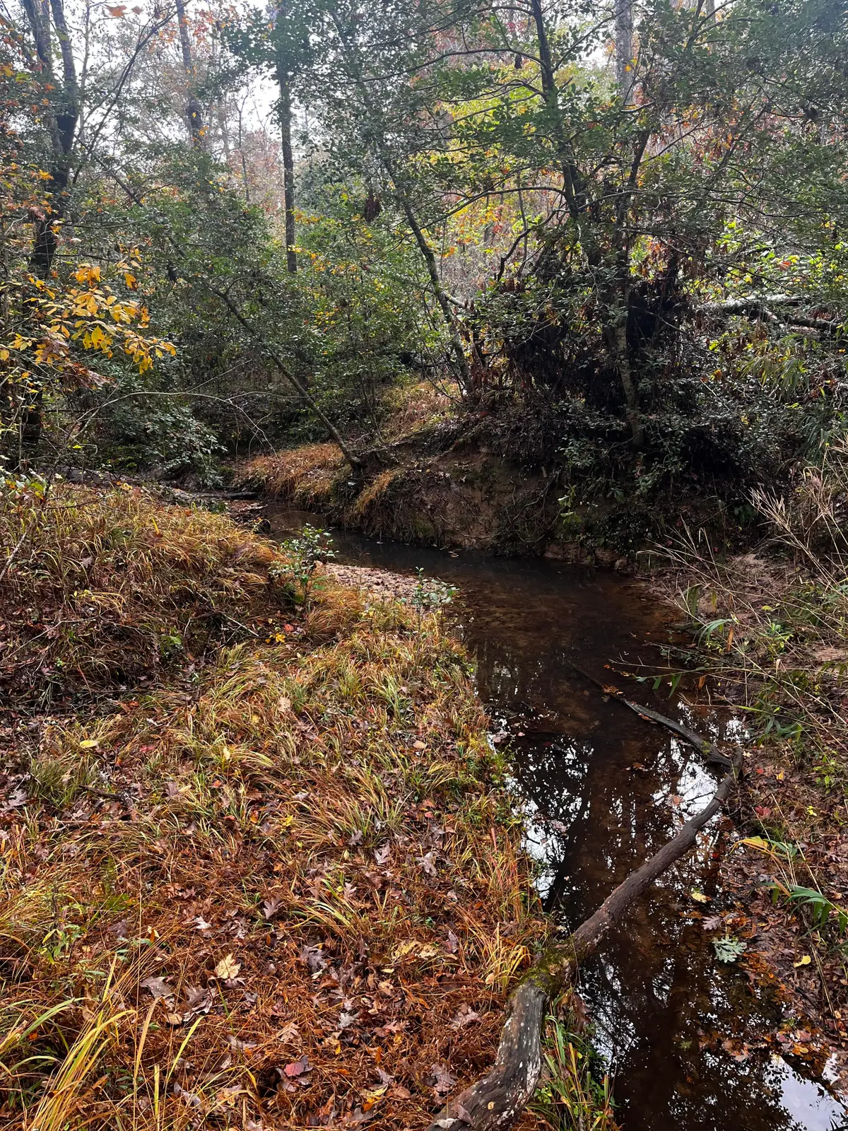 1 Pate Mill Road, Warrenton, GA 30828 - #1