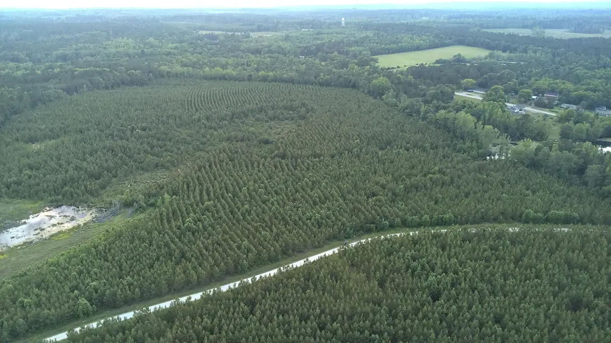 36 Moton Moore Road, McCormick, SC 29835 - Image #1