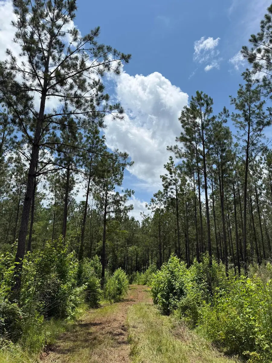 0 Christian Rd Road, McCormick, SC 29835 - #3