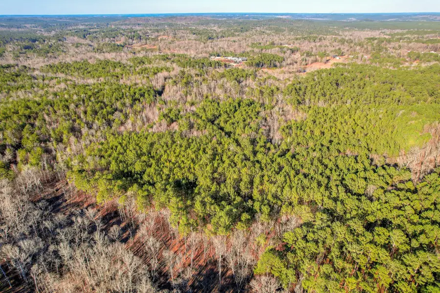 5485 Tubman Road, Appling, GA 30802 - Image #2