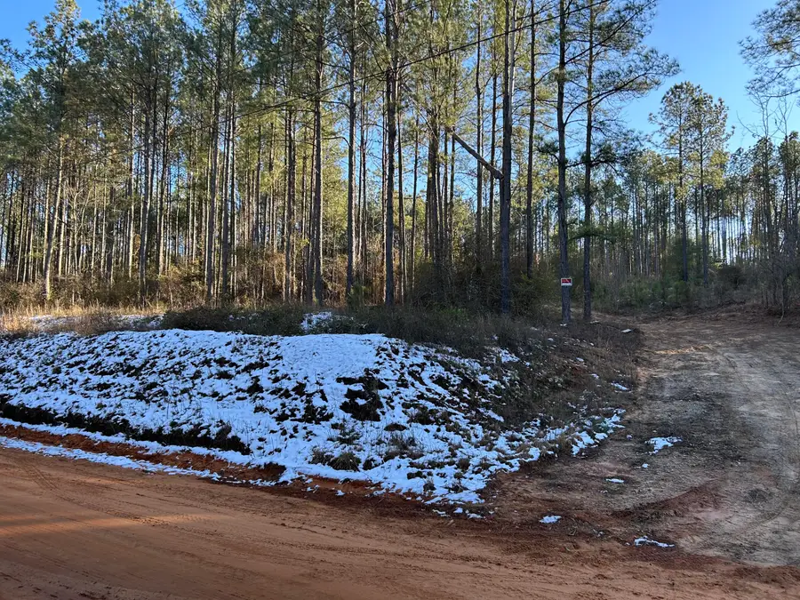 3229 Keysville-boggs Academy Road, Keysville, GA 30816 - #2