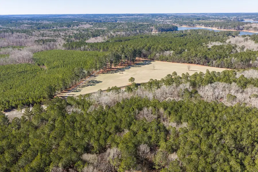 1036 Chennault Drive, Lincolnton, GA 30817 - #2