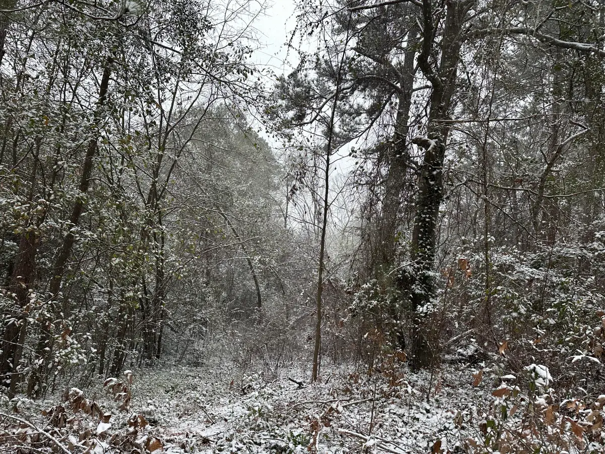 3512 Buckner Drive, Hephzibah, GA 30815 - #1