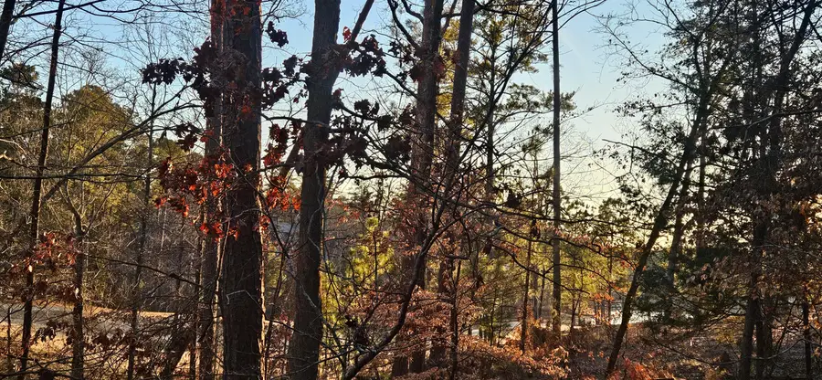 0 Amelia, McCormick, SC 29835 - #3