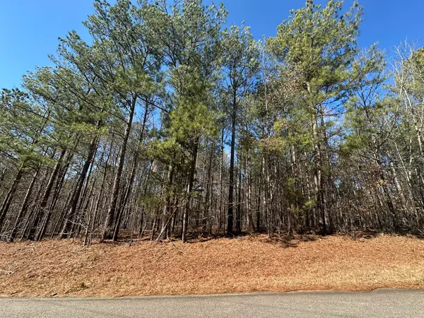 Lot 31 Willow Way, Lincolnton, GA 30817