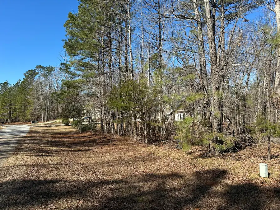 Lot 31 Willow Way, Lincolnton, GA 30817 - #3