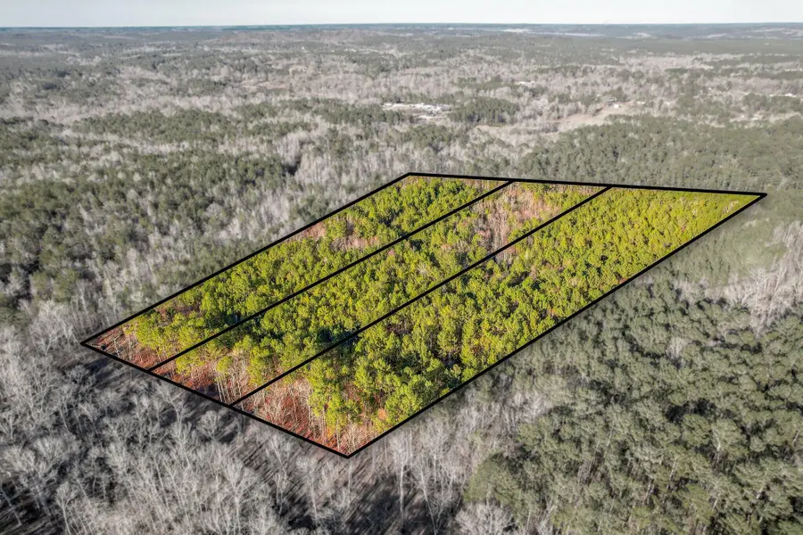 5483 Tubman Road, Appling, GA 30802 - #3