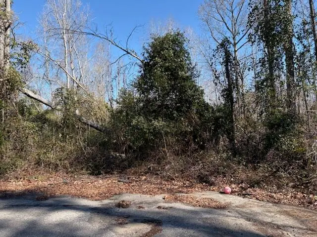 4332 Parkwood Drive, Augusta, GA 30906 - #2