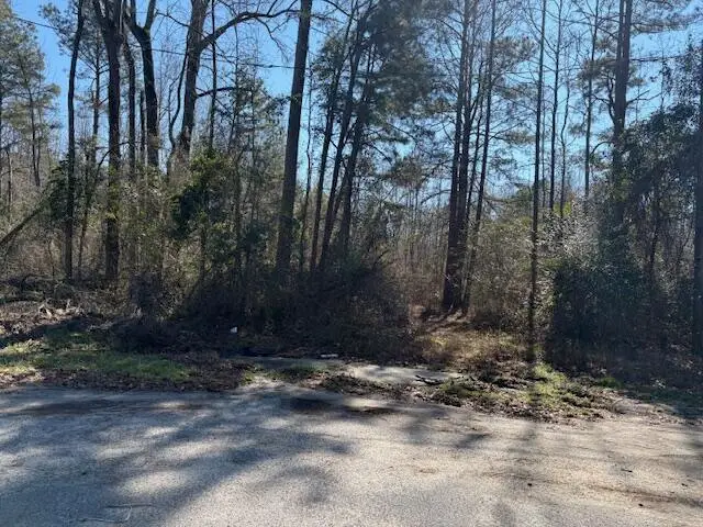 4332 Parkwood Drive, Augusta, GA 30906 - #3