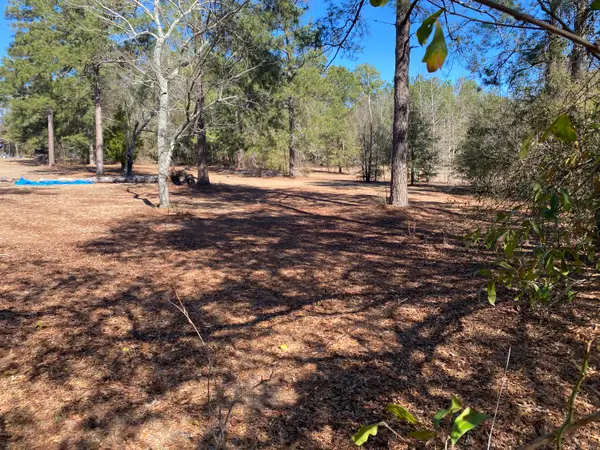 1621 N Pine Ridge Drive, Hephzibah, GA 30815