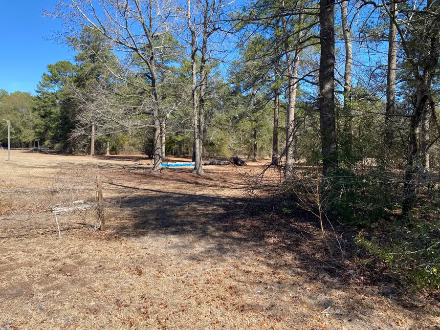 1621 N Pine Ridge Drive, Hephzibah, GA 30815 - #2