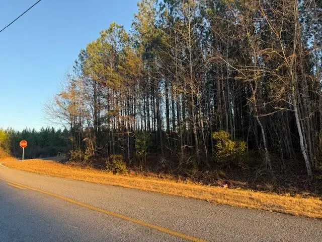 1398 Mauldin Road, Warrenton, GA 30828 - #2