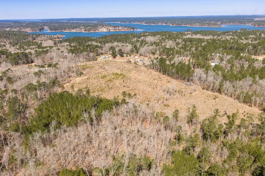 0 Chamberlain S Ferry Road, Lincolnton, GA 30817 - #3