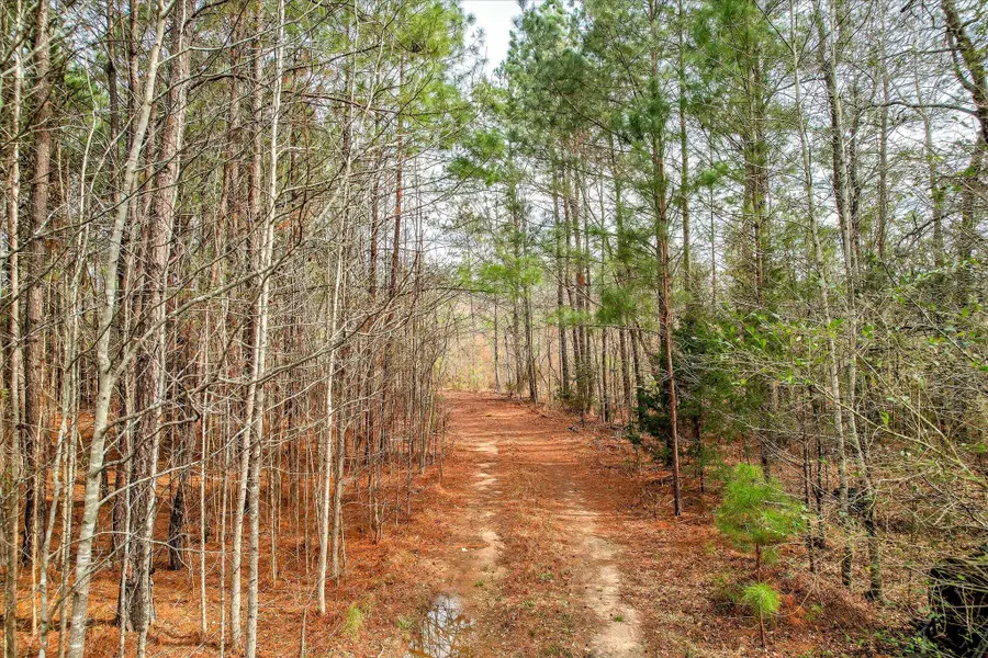 0 Appling Harlem Road, Harlem, GA 30814 - #2