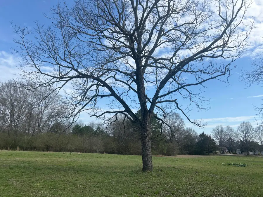 1046 Holloway Road, Lincolnton, GA 30817 - #3