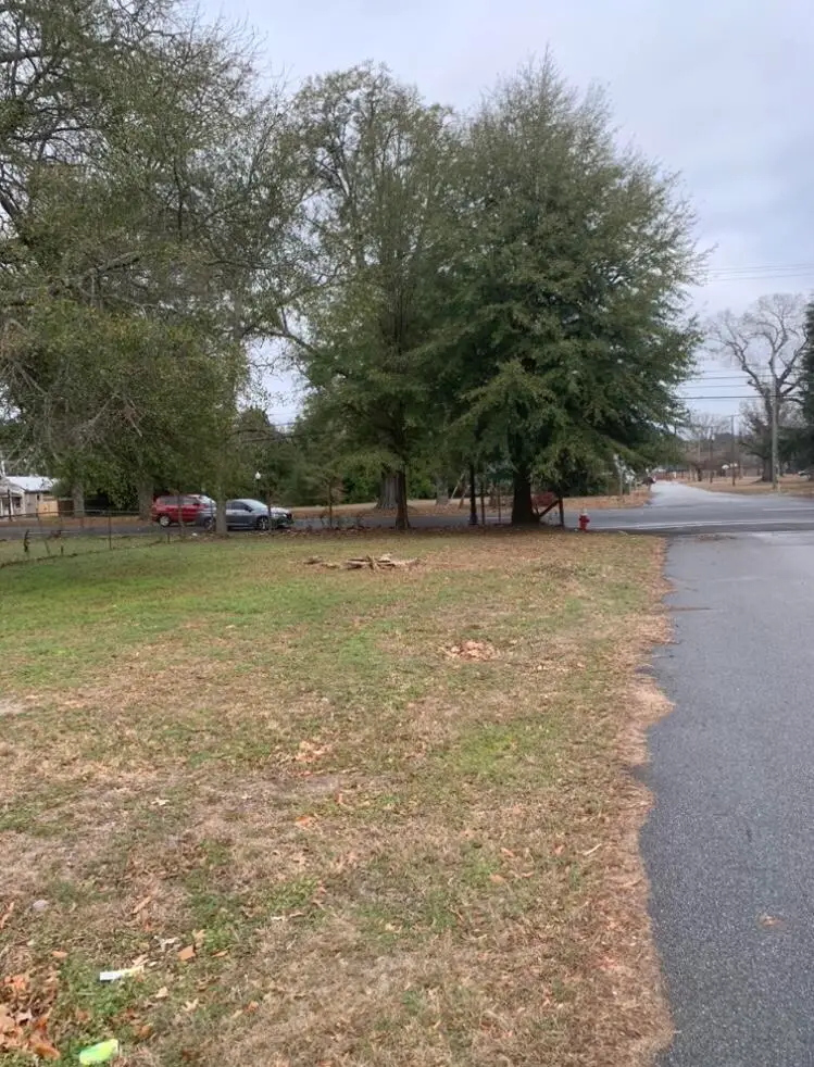 517 E Richland Avenue, Aiken, SC 29801 - #3