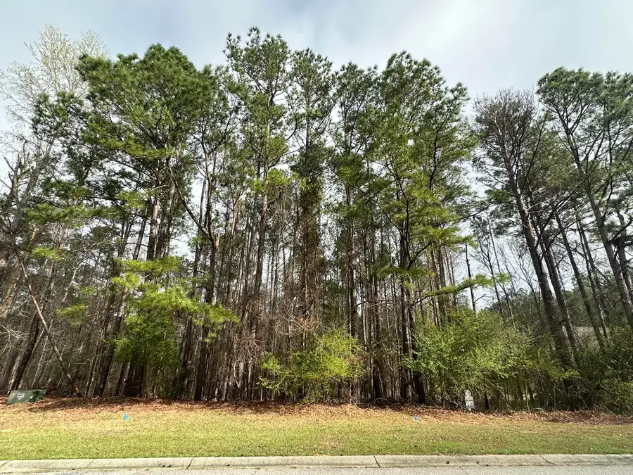 1048 Longstreet Place, North Augusta, SC 29860 - #2