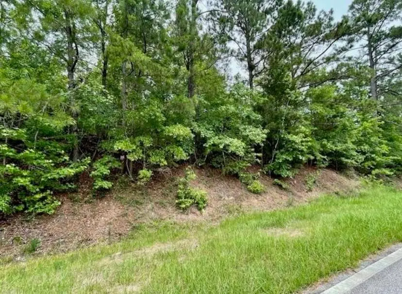 0 Lot 3 Indian Road, Lincolnton, GA 30817 - #2
