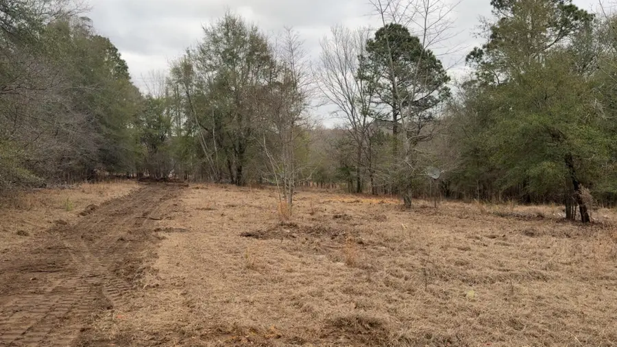 223 Ridge Road, Waynesboro, GA 30830 - #3