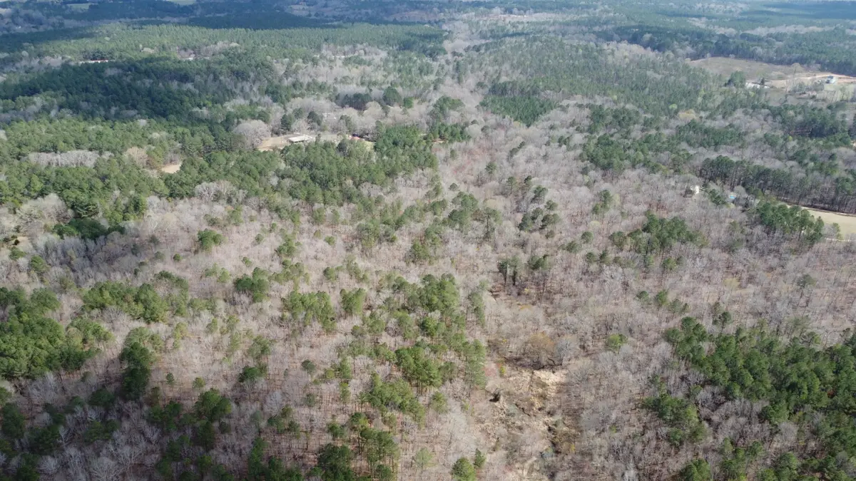 27.2 Ac John Lewis Drive, Lincolnton, GA 30817 - #1