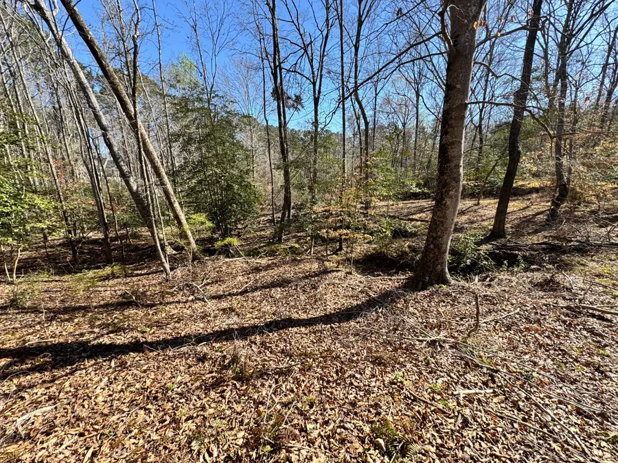 4788 Chamberlain S Ferry Road, Lincolnton, GA 30817 - #2