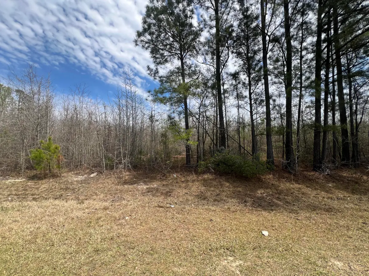 0 Marshall Church Road, Thomson, GA 30824 - #1
