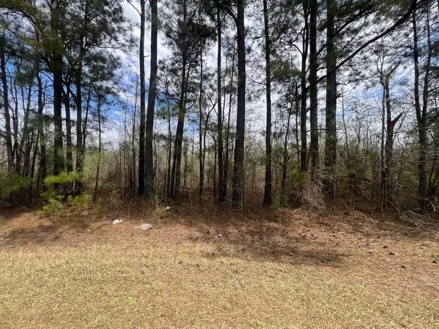0 Marshall Church Road, Thomson, GA 30824 - #3
