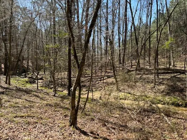 0 Twin Pine Road, Thomson, GA 30824 - #1