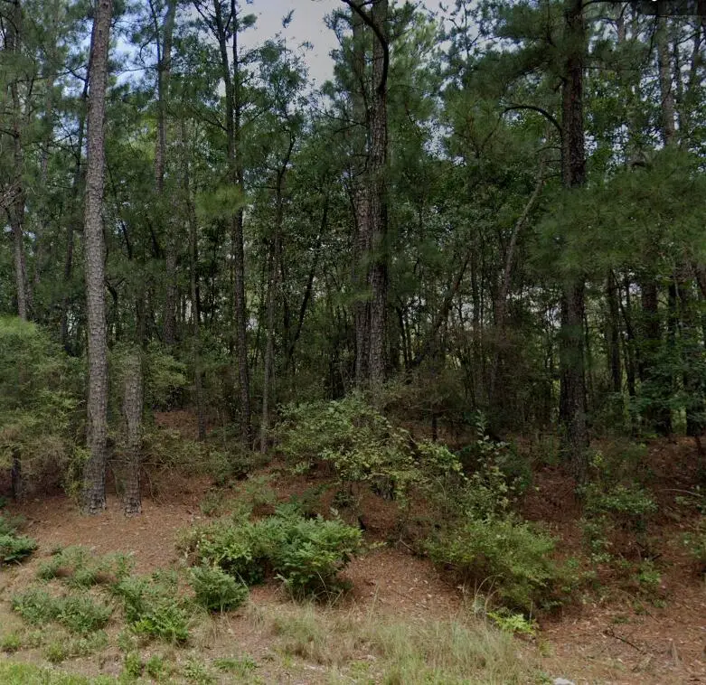 57a Bradleyville Road, North Augusta, SC 29841 - #2