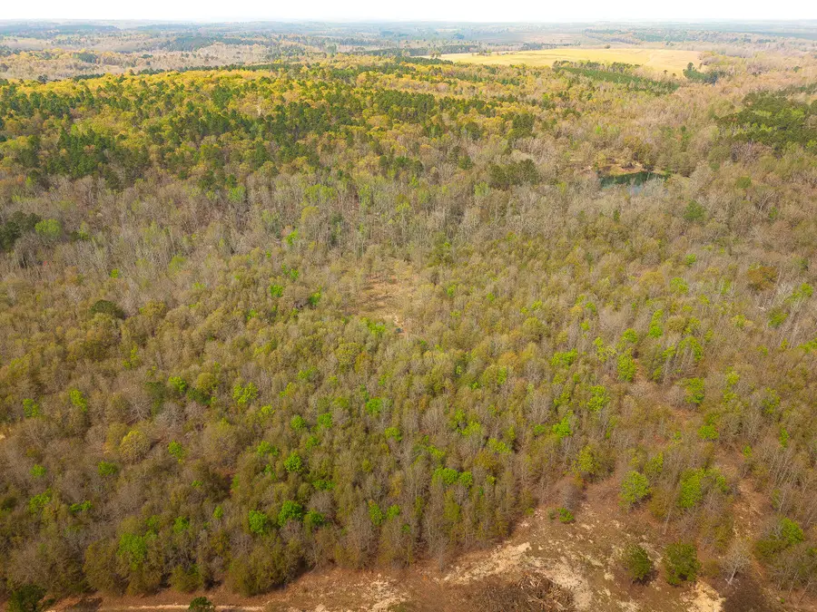 0 23 Highway, Waynesboro, GA 30830 - #2