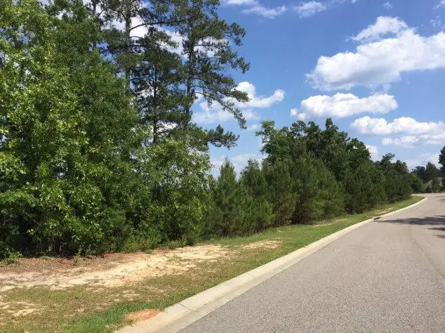 175 Bridge Crest Court, Aiken, SC 29803 - #1
