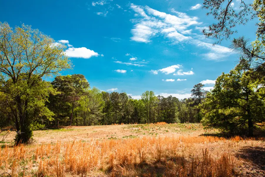 Lot 3 Smith Crawford Road, Thomson, GA 30824 - #2