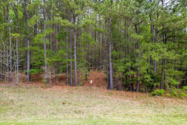 1066 Clinton-williams Road, Lincolnton, GA 30817